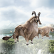 Image for article titled The Critters of Final Fantasy XIV